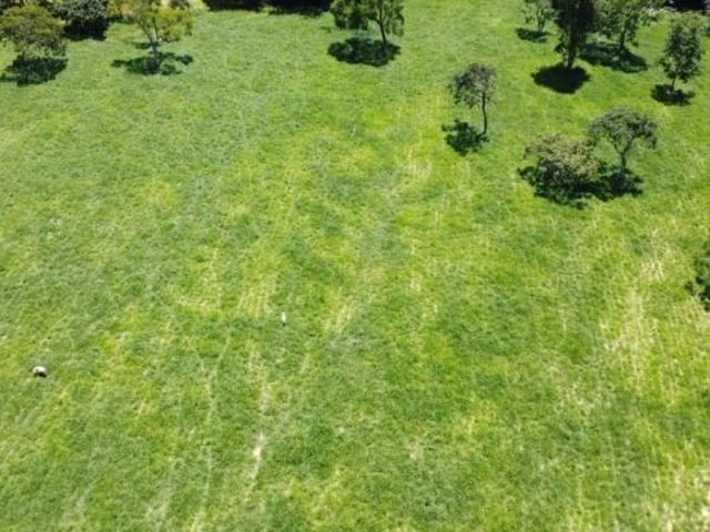 Sítio e chácara venda em Região Geográfica Imediata de Divinópolis, Cláudio