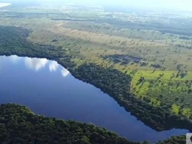 Sítio e chácara venda em Região Geográfica Imediata de Água Boa, Cocalinho