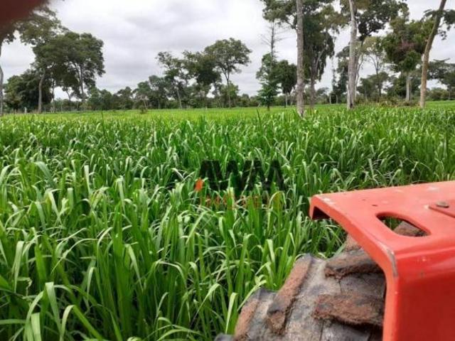 Sítio e chácara venda em Região Geográfica Imediata de Água Boa, Cocalinho