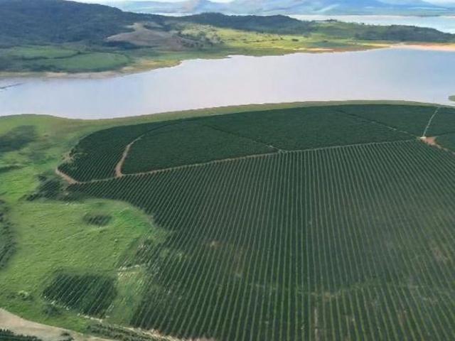 Sítio e chácara venda em Região Geográfica Imediata de Alfenas, Conceição da Aparecida