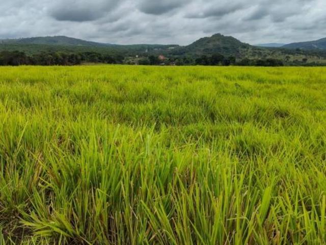 Sítio e chácara venda em Região Geográfica Imediata de Divinópolis, Conceição do Pará