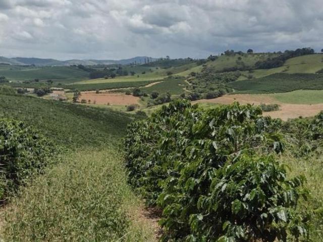 Sítio e chácara venda em Região Geográfica Imediata de São Lourenço, Conceição do Rio Verde