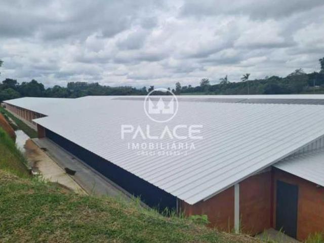 Sítio e chácara venda em Região Imediata de Botucatu, Conchas