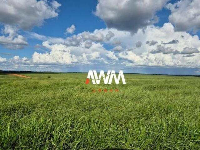 Sítio e chácara venda em Região Geográfica Imediata de Confresa - Vila Rica, Confresa