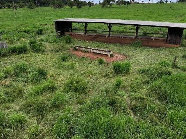 Sítio e chácara venda em Região Geográfica Imediata de Confresa - Vila Rica, Confresa