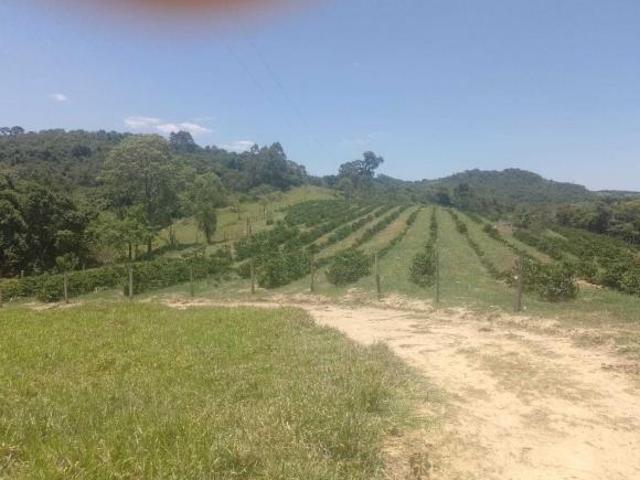 Sítio e chácara venda em Região Geográfica Imediata de Gurupi, Formoso do Araguaia