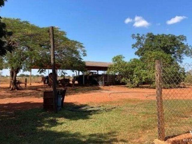 Sítio e chácara venda em Corinto, Região Geográfica Intermediária de Belo Horizonte