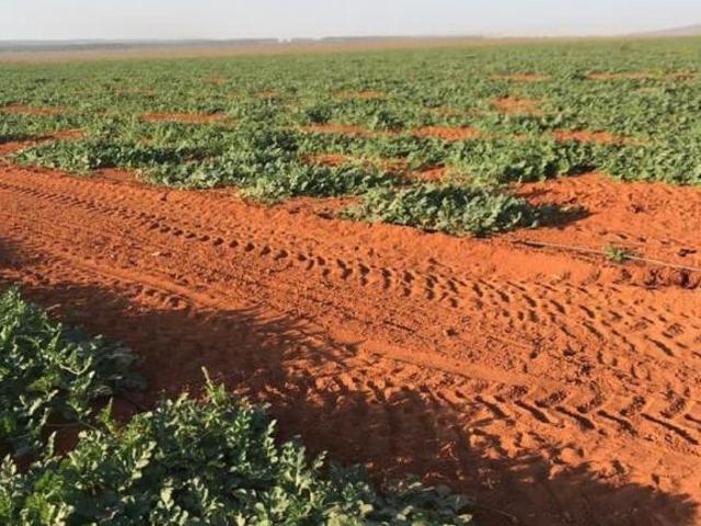 Sítio e chácara venda em Região Geográfica Imediata de Curvelo, Corinto