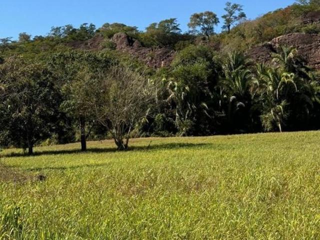 Sítio e chácara venda em Região Geográfica Imediata de Coxim, Coxim