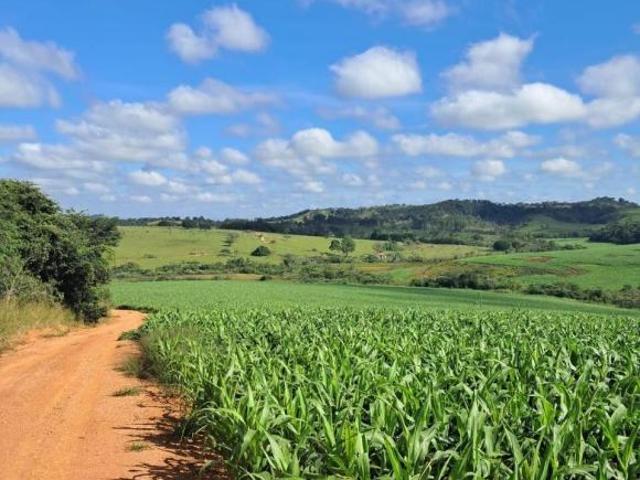 Sítio e chácara venda em Região Geográfica Imediata de Ipatinga, Região Metropolitana do Vale do Aço