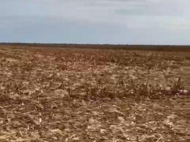 Sítio e chácara venda em Região Geográfica Imediata de Luziânia, Região Integrada de Desenvolvimento do Distrito Federal e Entorno