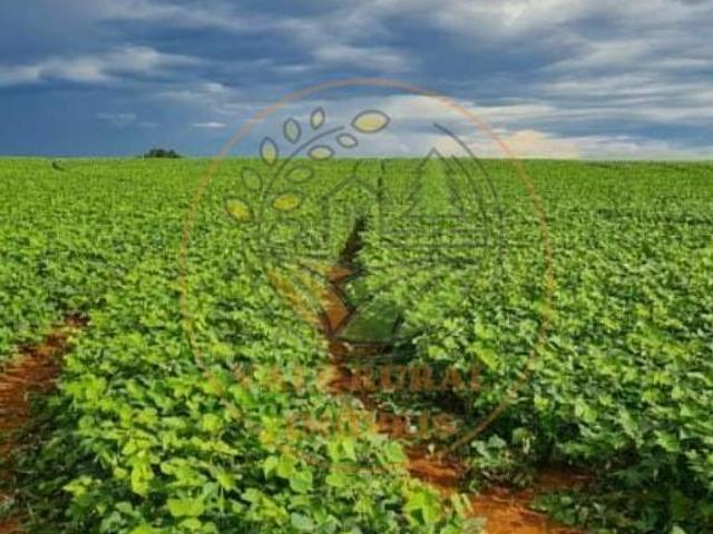 Sítio e chácara venda em Região Geográfica Imediata de Luziânia, Região Integrada de Desenvolvimento do Distrito Federal e Entorno