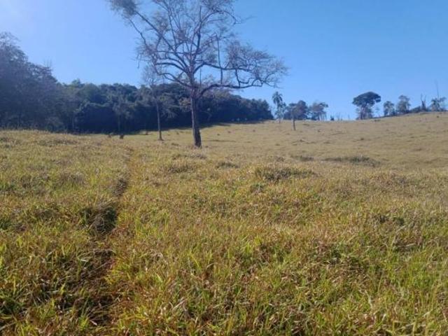 Sítio e chácara venda em Região Geográfica Imediata de Oliveira, Crucilândia
