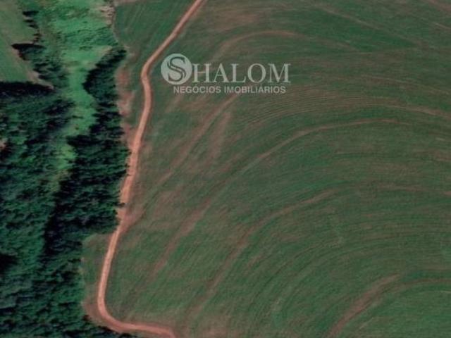Sítio e chácara venda em Região Geográfica Imediata de Maringá, Santa Fé