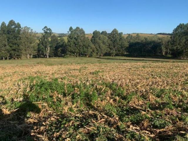 Sítio e chácara venda em Região Geográfica Imediata de Caxambu - Baependi, Cruzília