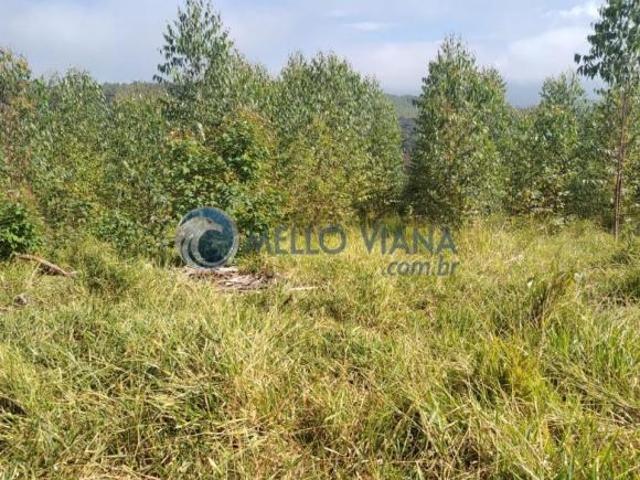Sítio e chácara venda em Região Geográfica Imediata de Caxambu - Baependi, Cruzília