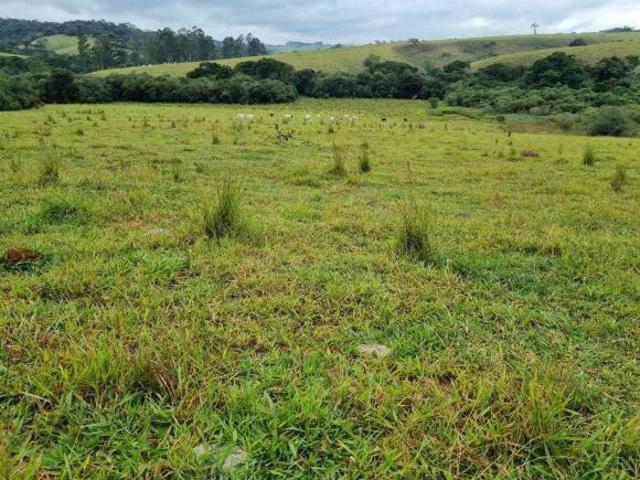 Sítio e chácara venda em Região Geográfica Imediata de Caxambu - Baependi, Cruzília