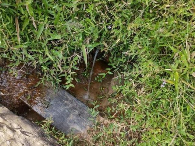 Sítio e chácara venda em Região Imediata de Guaratinguetá, Região Metropolitana do Vale do Paraíba e Litoral Norte