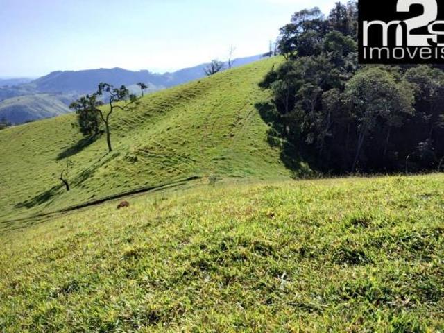 Sítio e chácara venda em Região Imediata de Guaratinguetá, Região Metropolitana do Vale do Paraíba e Litoral Norte