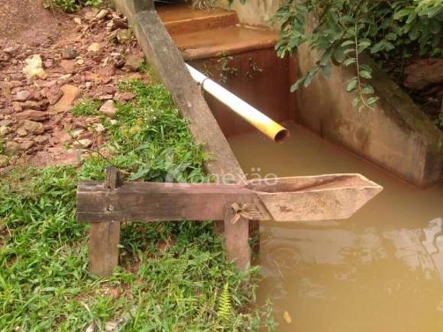 Sítio e chácara venda em Região Imediata de Guaratinguetá, Região Metropolitana do Vale do Paraíba e Litoral Norte