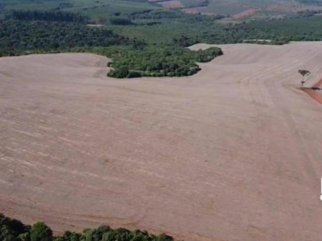 Sítio e chácara venda em Vila São Pedro, Curiúva