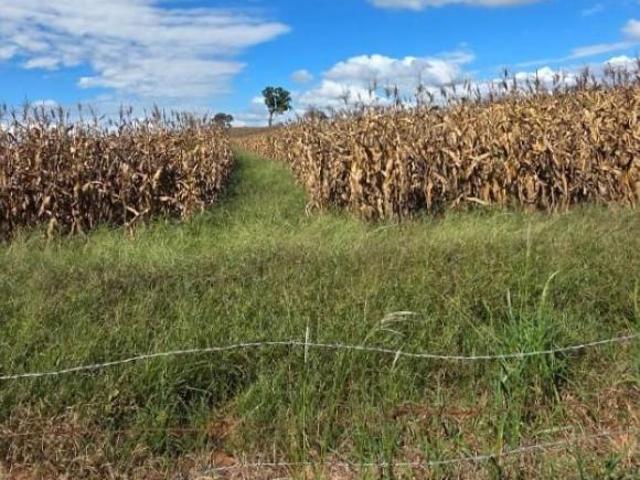 Sítio e chácara venda em Região Geográfica Imediata de Alfenas, Divisa Nova