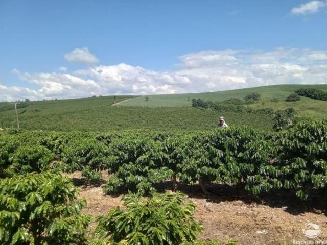 Sítio e chácara venda em Região Geográfica Imediata de Alfenas, Divisa Nova