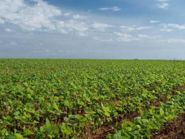 Sítio e chácara venda em Dois Vizinhos, Região Geográfica Intermediária de Cascavel