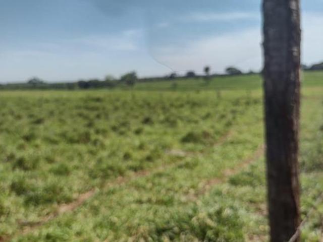 Sítio e chácara venda em Região Imediata de Jales, Dolcinópolis