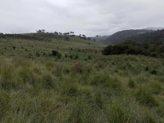 Sítio e chácara venda em Região Geográfica Imediata de São Lourenço, Dom Viçoso