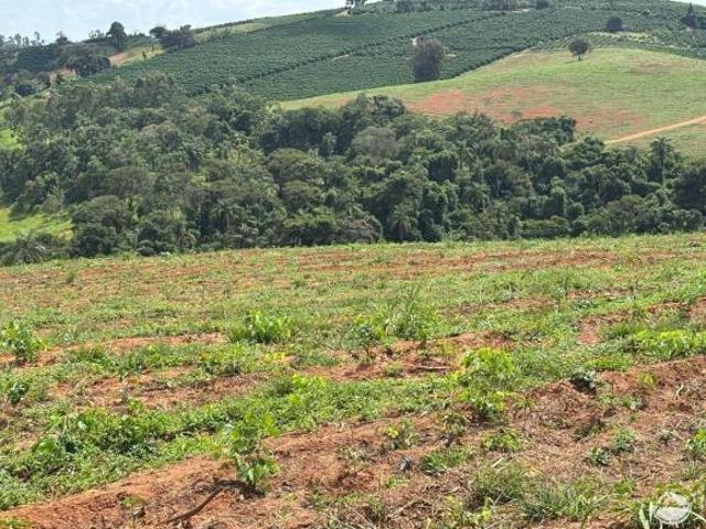 Sítio e chácara venda em Elói Mendes, Região Geográfica Intermediária de Varginha