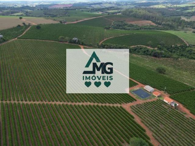 Sítio e chácara venda em Região Geográfica Imediata de Varginha, Cordislândia