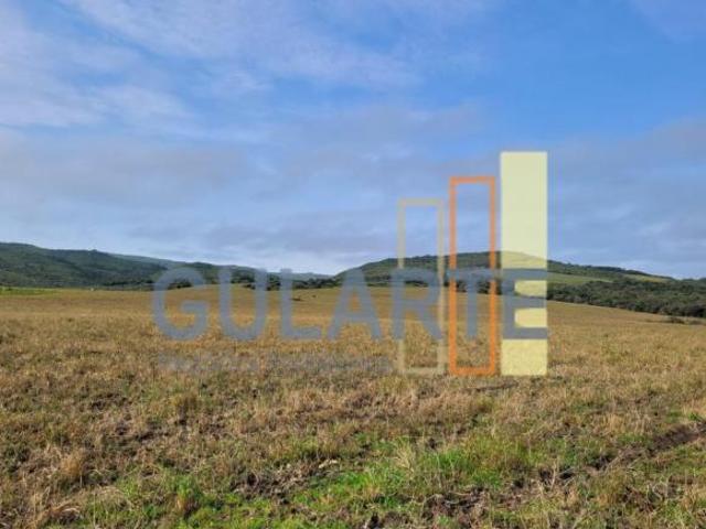 Sítio e chácara venda em Região Geográfica Imediata de Santa Cruz do Sul, Encruzilhada do Sul