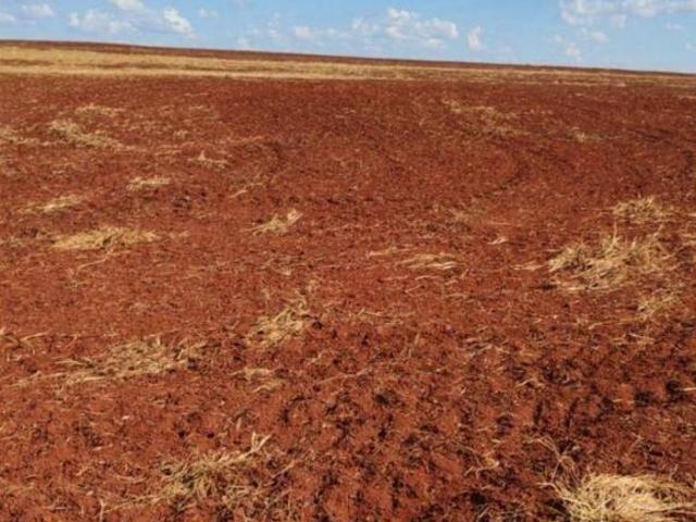 Sítio e chácara venda em Farol, Região Geográfica Intermediária de Maringá