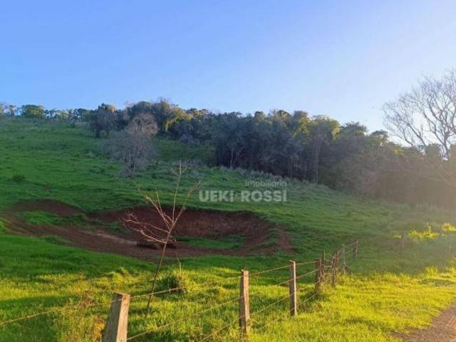 Sítio e chácara venda em Região Geográfica Imediata de Ivaiporã, Faxinal