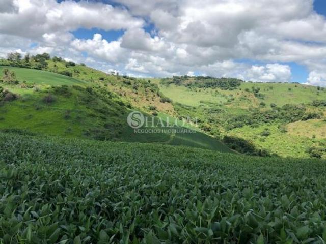 Sítio e chácara venda em Região Geográfica Imediata de Ivaiporã, Faxinal