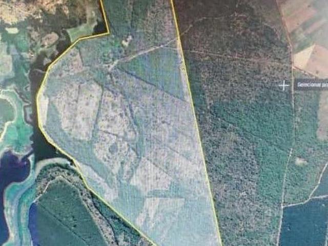 Sítio e chácara venda em Região Geográfica Imediata de Curvelo, Felixlândia