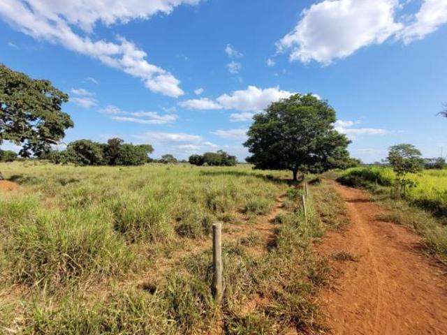 Sítio e chácara venda em Região Geográfica Imediata de Curvelo, Felixlândia
