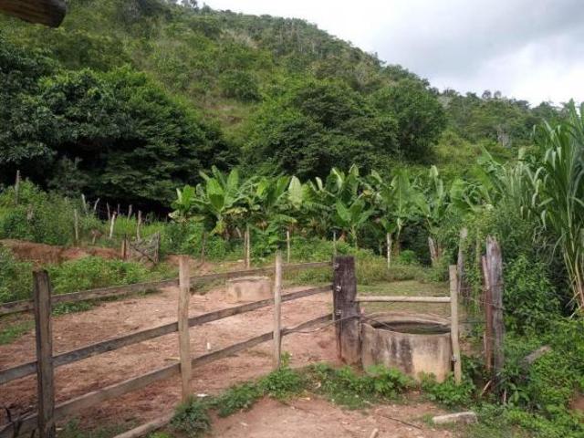 Sítio e chácara venda em Região Geográfica Imediata de Itabira, Ferros