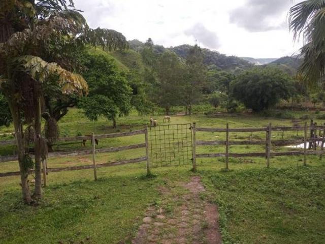 Sítio e chácara venda em Ferros, Região Geográfica Intermediária de Belo Horizonte
