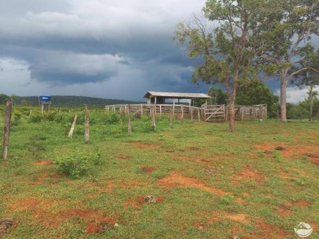Sítio e chácara venda em Região Geográfica Imediata de Coxim, Mato Grosso do Sul