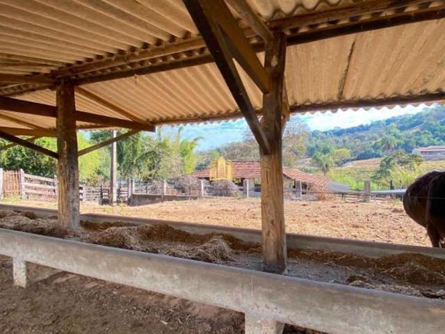 Sítio e chácara venda em Região Geográfica Imediata de Belo Horizonte, Região Metropolitana de Belo Horizonte
