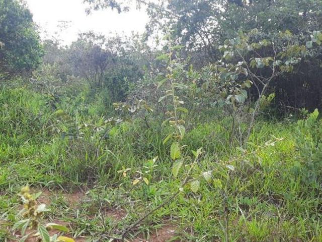 Sítio e chácara venda em Formiga, Região Geográfica Intermediária de Divinópolis
