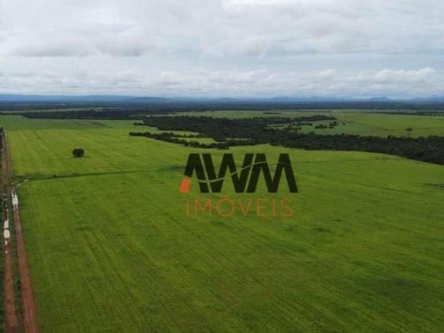 Sítio e chácara venda em Região Geográfica Imediata de Águas Lindas de Goiás, Região Integrada de Desenvolvimento do Distrito Federal e Entorno