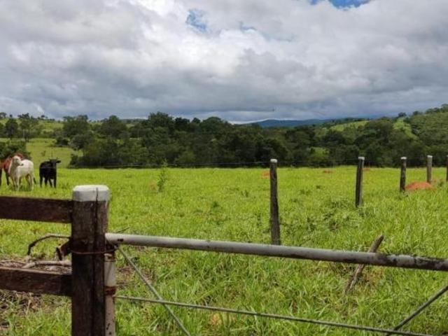 Sítio e chácara venda em Região Geográfica Imediata de Águas Lindas de Goiás, Região Integrada de Desenvolvimento do Distrito Federal e Entorno