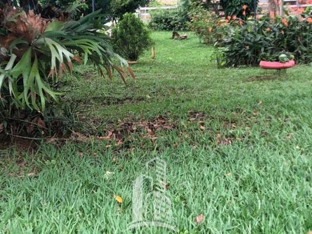 Sítio e chácara venda em Centro, Formosa