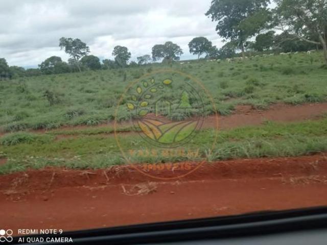 Sítio e chácara venda em Região Geográfica Imediata de Águas Lindas de Goiás, Região Integrada de Desenvolvimento do Distrito Federal e Entorno