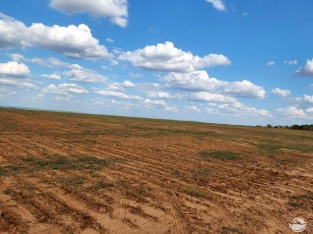 Sítio e chácara venda em Região Geográfica Imediata de Unaí, Formoso
