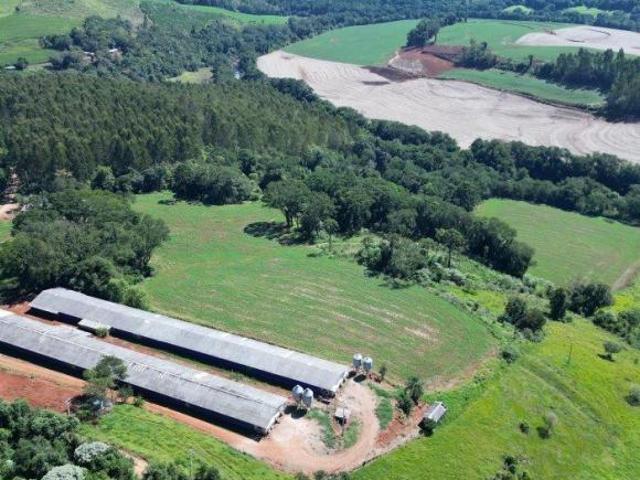 Sítio e chácara venda em Região Geográfica Imediata de Francisco Beltrão, Francisco Beltrão