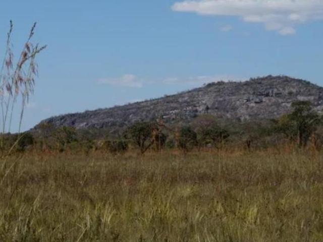 Sítio e chácara venda em Região Geográfica Imediata de Montes Claros, Francisco Dumont